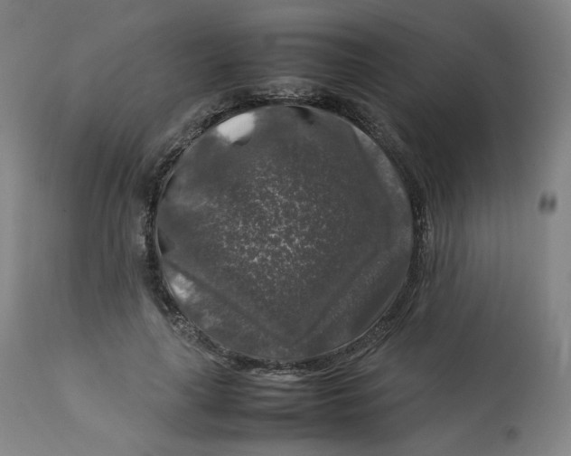 X0000112750643200909171227