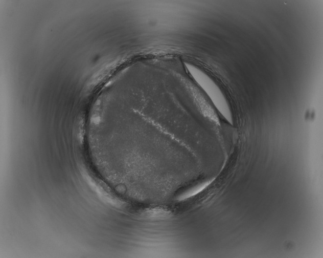 X0000112750644200909171227