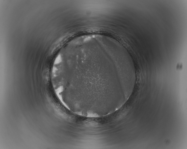 X0000112750648200909171227