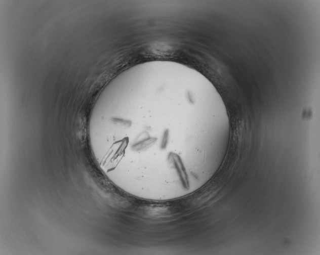 X0000112750651200909171227
