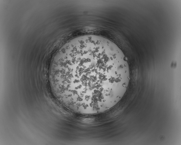 X0000112750653200909171227