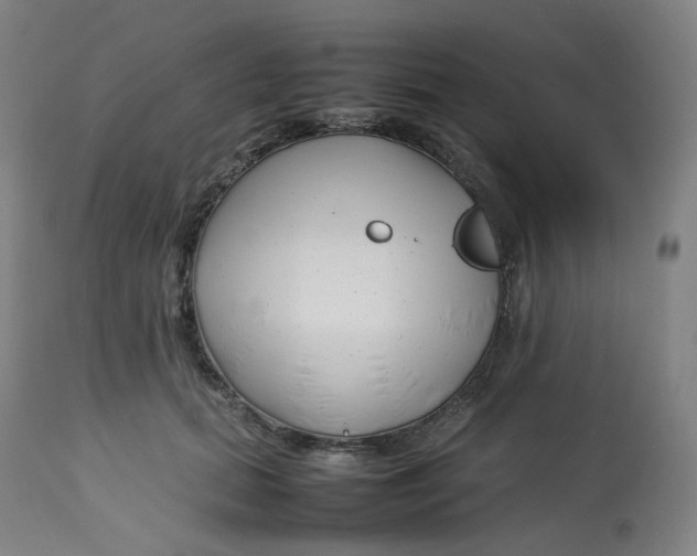 X0000112750655200909171227