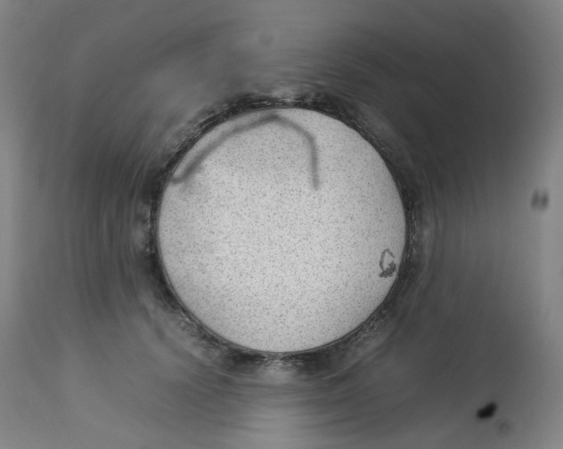 X0000112750656200909171227