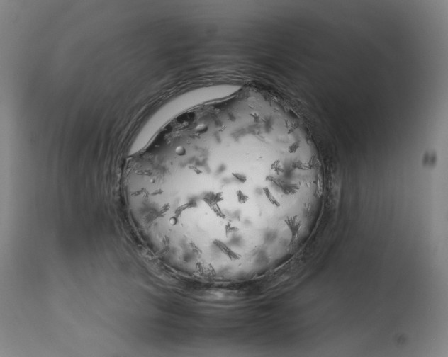 X0000112750657200909171227