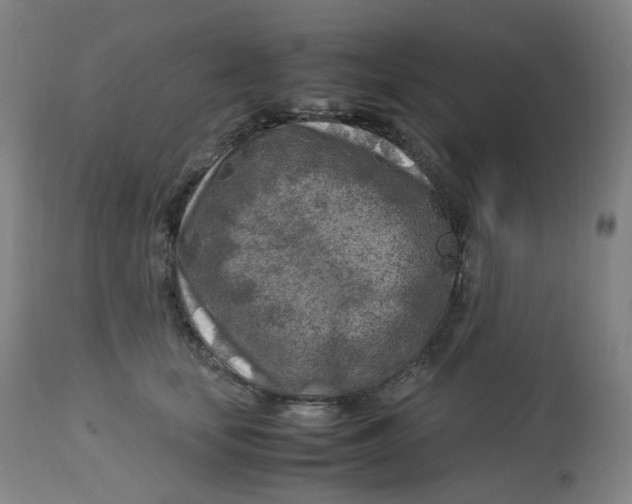 X0000112750659200909171227