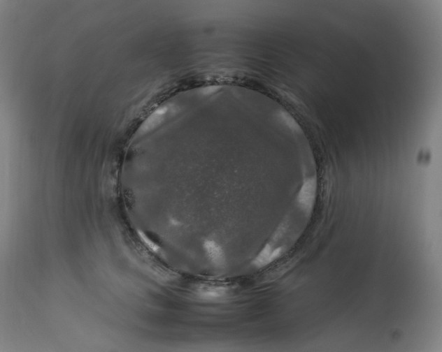 X0000112750661200909171227