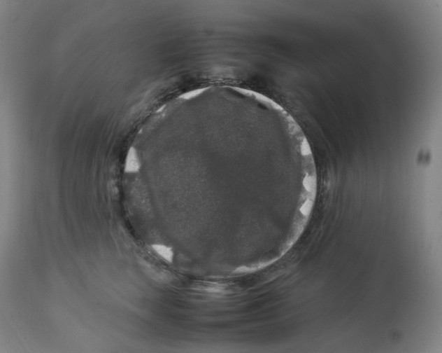 X0000112750663200909171227