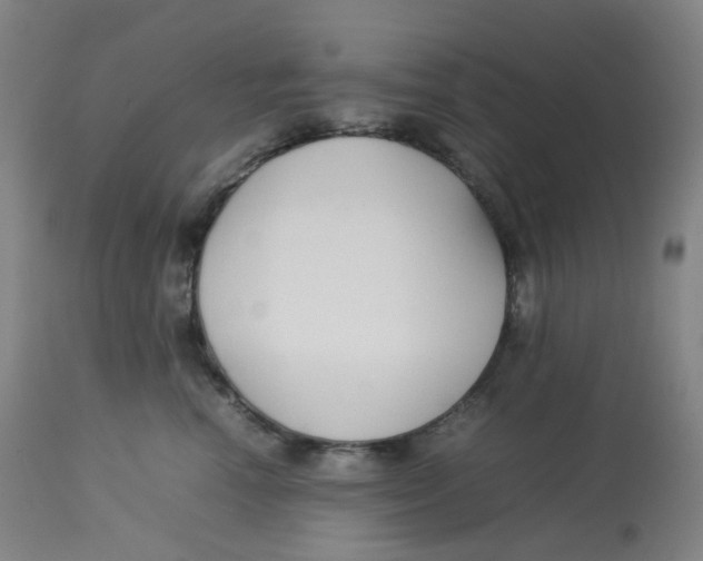 X0000112750666200909171227