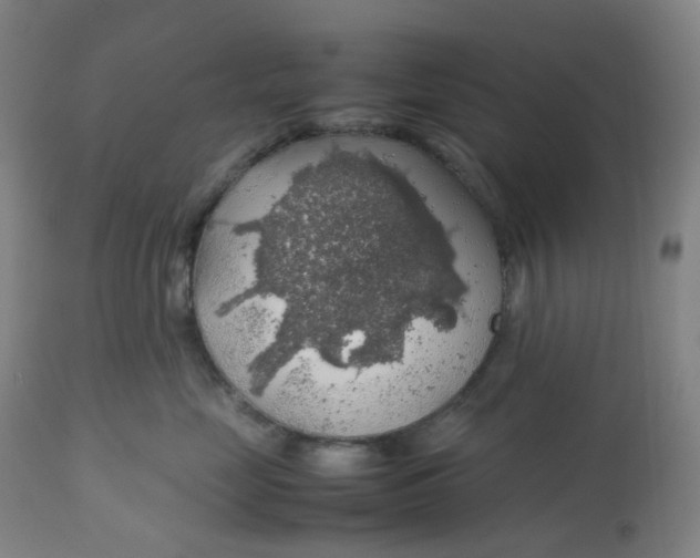 X0000112750669200909171227