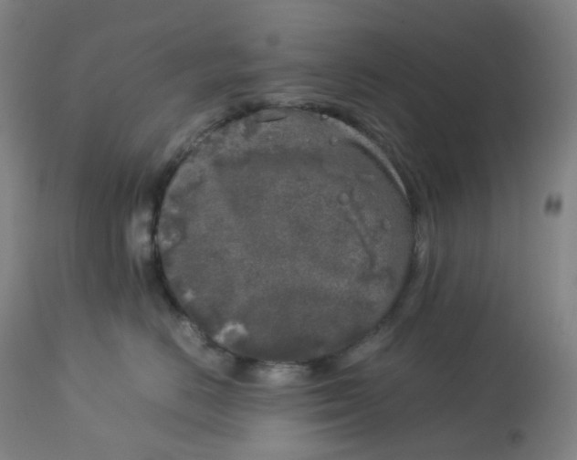 X0000112750670200909171227