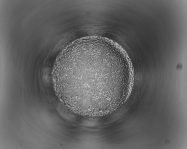 X0000112750671200909171227