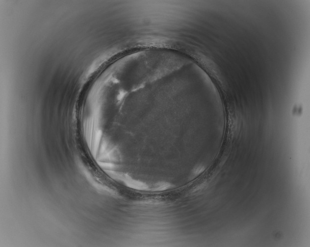 X0000112750674200909171227