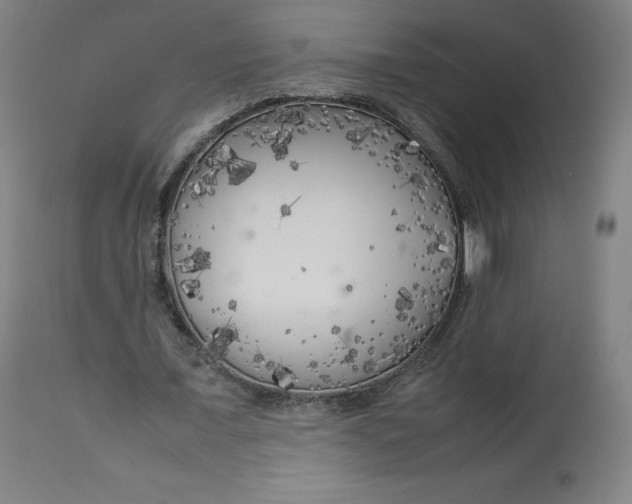 X0000112750675200909171227
