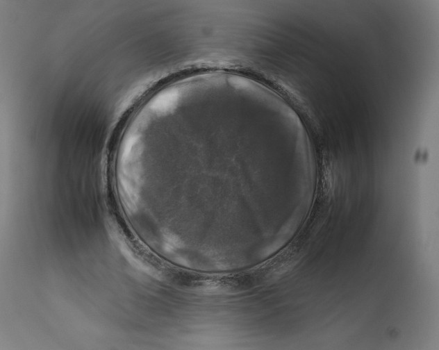 X0000112750678200909171227