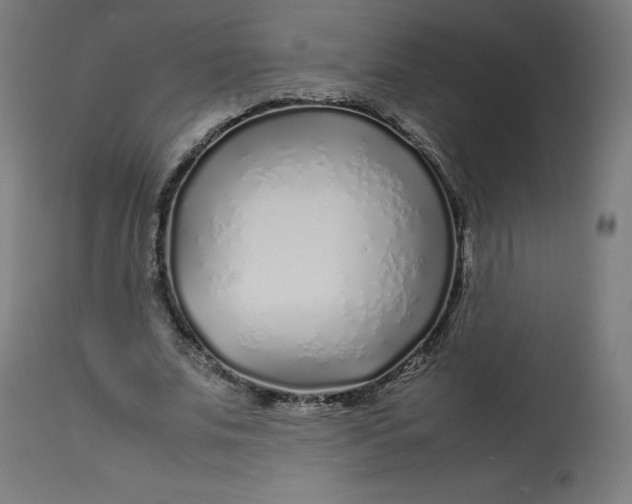 X0000112750679200909171227