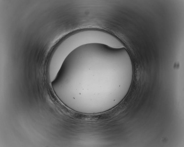 X0000112750680200909171227