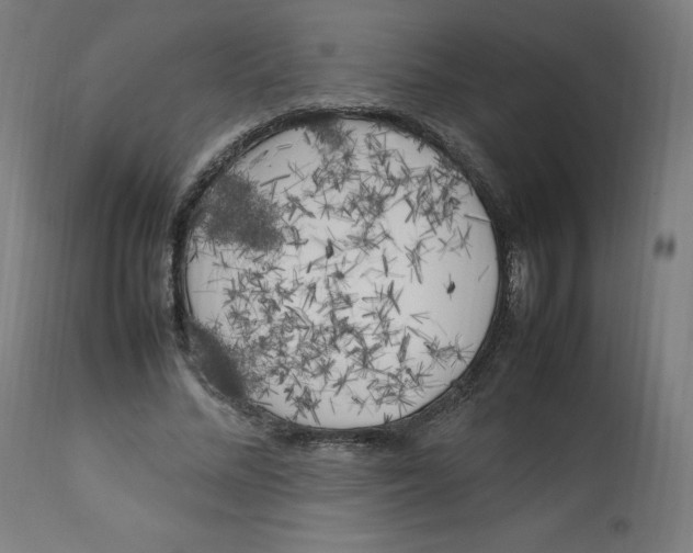 X0000112750684200909171226