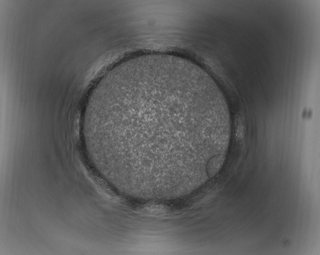 X0000112750685200909171226