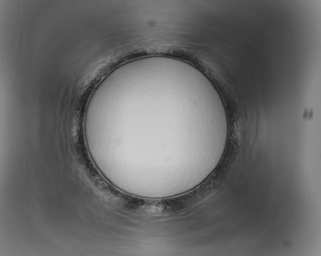 X0000112750687200909171226