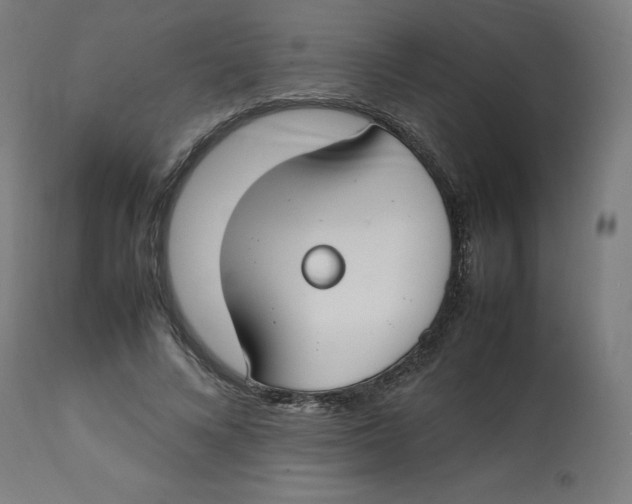 X0000112750688200909171226