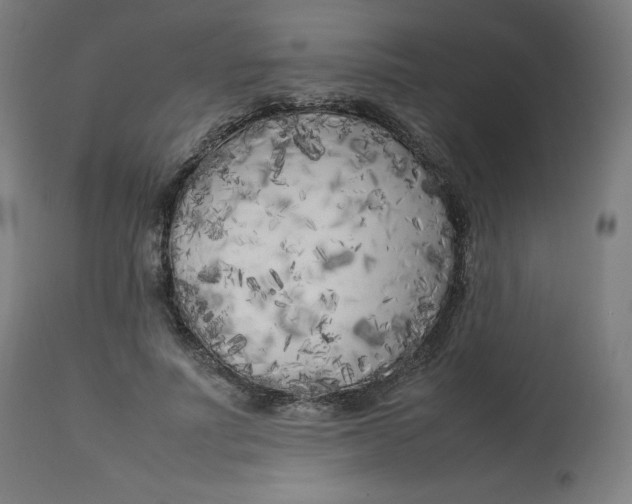 X0000112750691200909171226