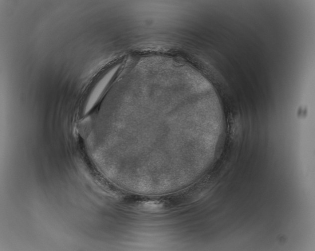 X0000112750692200909171226