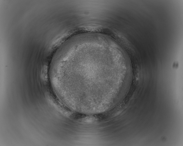 X0000112750696200909171226