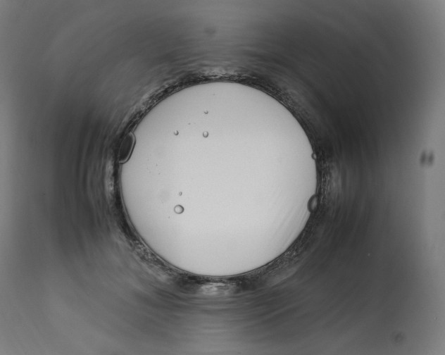 X0000112750700200909171226