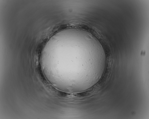 X0000112750703200909171226