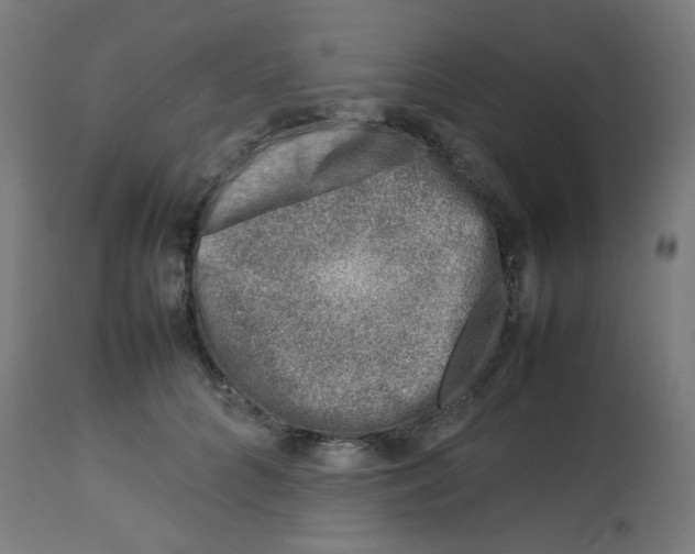 X0000112750704200909171226