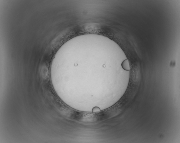 X0000112750705200909171226