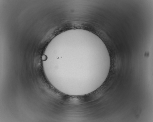 X0000112750706200909171226