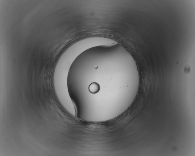 X0000112750708200909171226