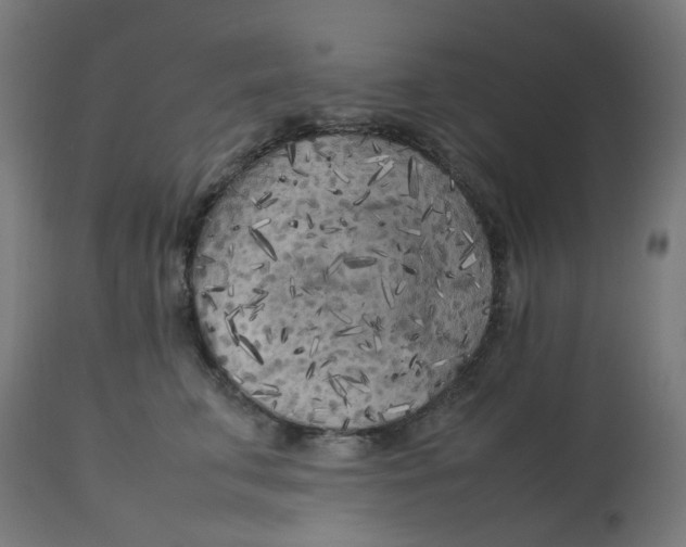 X0000112750711200909171226