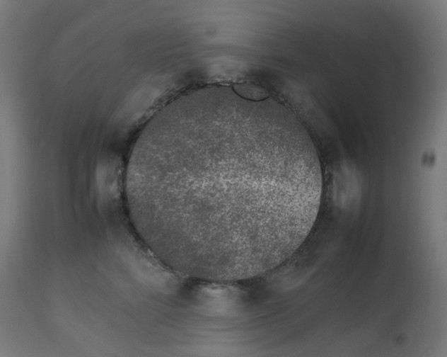 X0000112750712200909171226