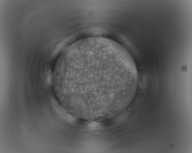 X0000112750718200909171226