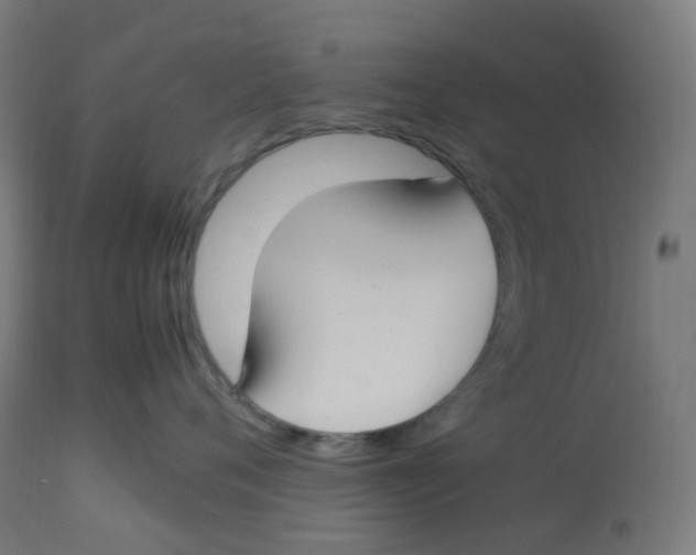 X0000112750720200909171226