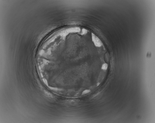 X0000112750721200909171225