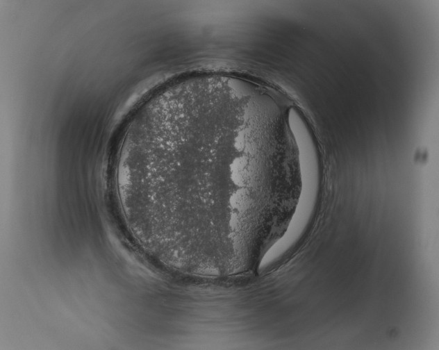 X0000112750722200909171225