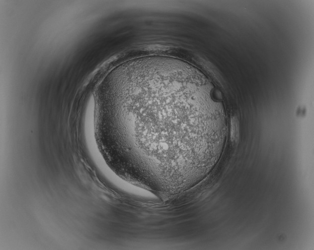 X0000112750723200909171225