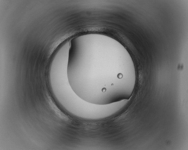 X0000112750725200909171225