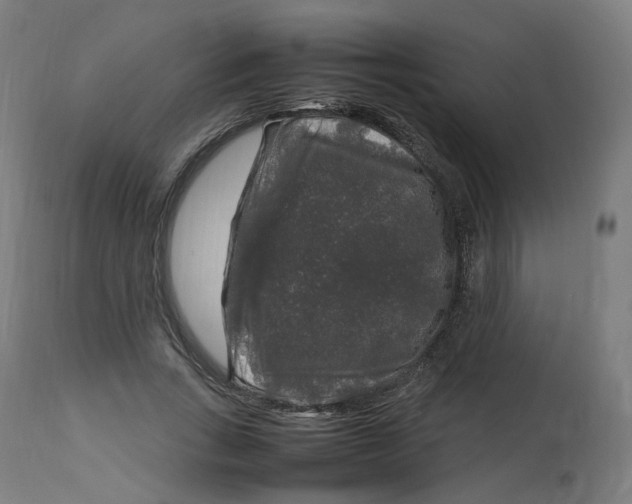 X0000112750735200909171226