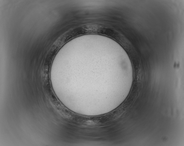 X0000112750737200909171226