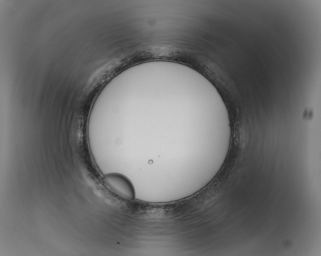 X0000112750740200909171226