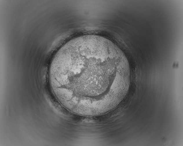 X0000112750742200909171226