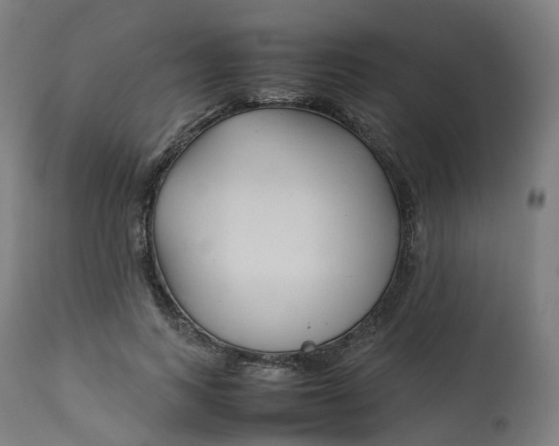 X0000112750743200909171226