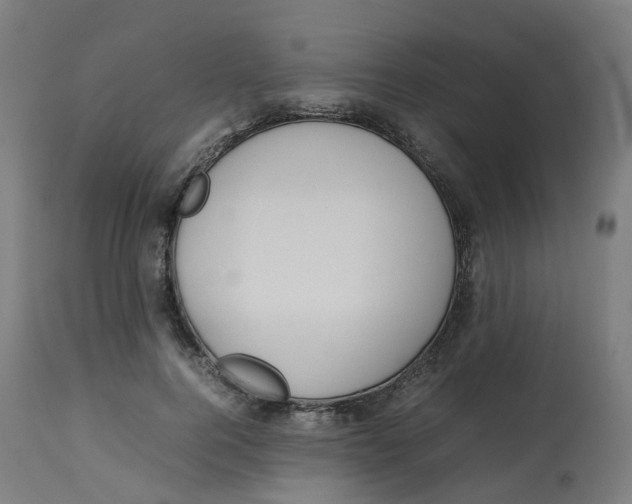 X0000112750744200909171226