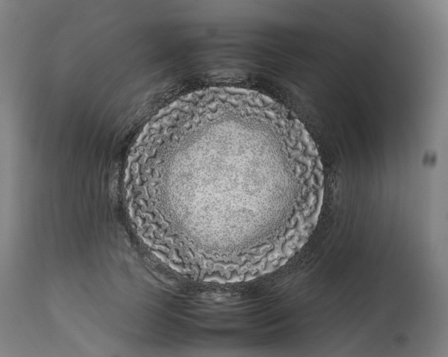 X0000112750745200909171226