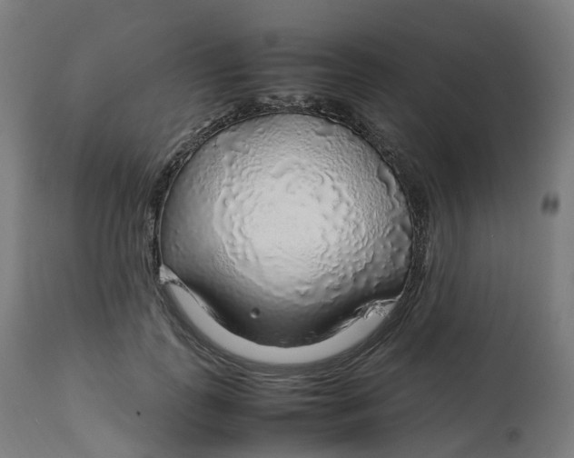 X0000112750747200909171226