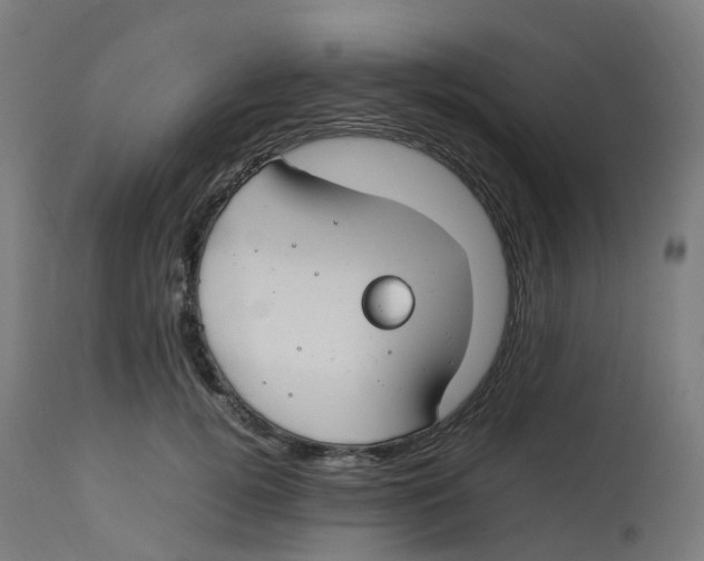 X0000112750752200909171226